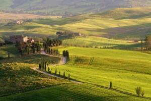 意大利击败马其顿，晋级欧预赛四强